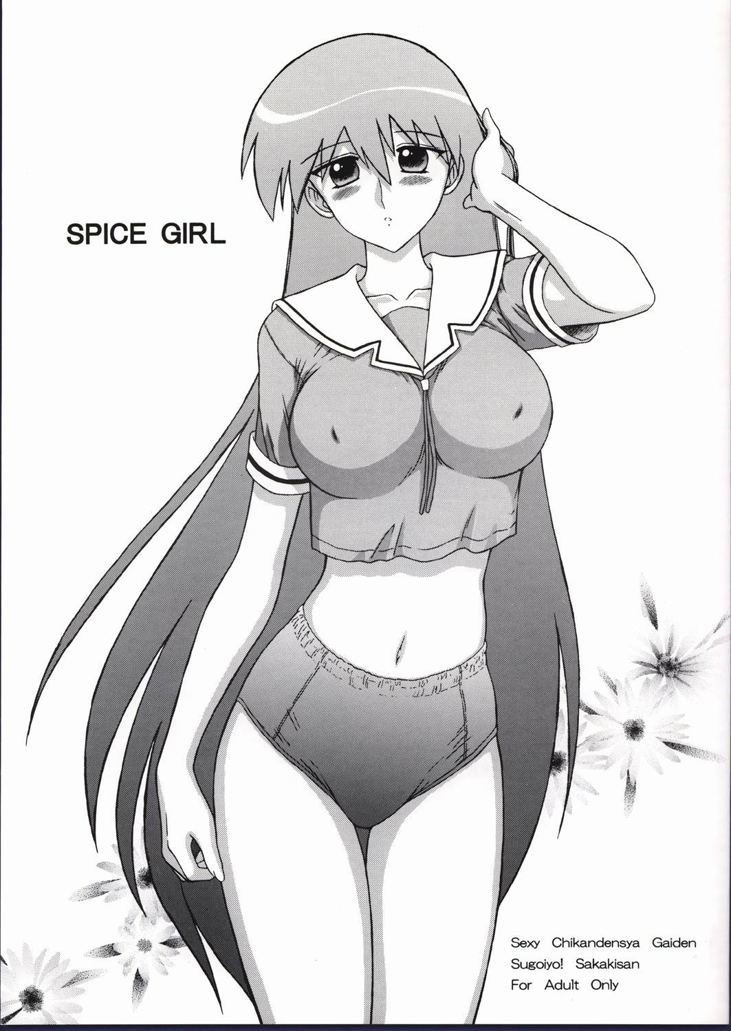 Spice Girl Multporn Comics Hentai Manga