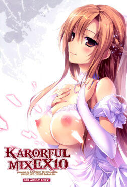 KARORFUL MIX EX10