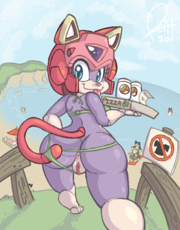 Samurai Pizza Cats