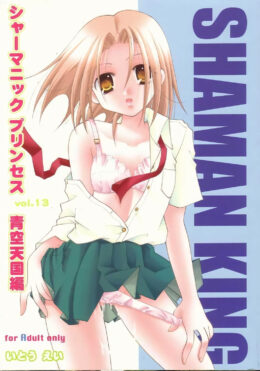 Shamanic Princess Vol. 13