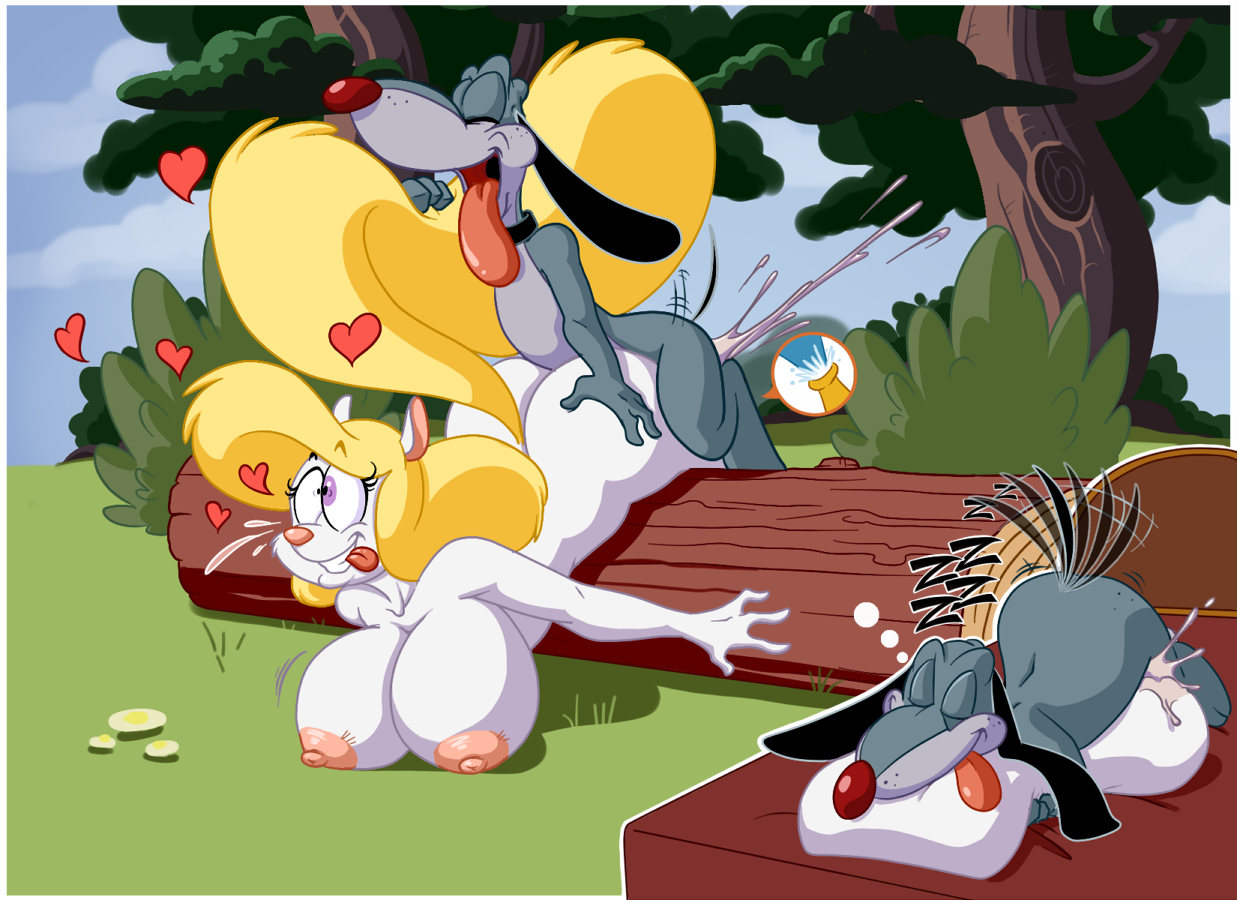 Animaniacs hentai