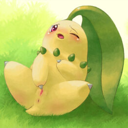 Chikorita – Hentai porn pictures