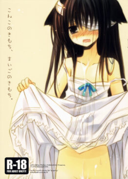 Kitten’s Feeling of Momoko