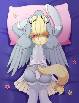 Wedding Night